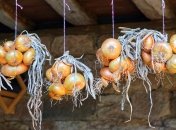 Праздник "Луков день" отмечается в 2023 году 18 октября (ранее 31 октября)