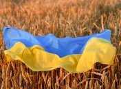 "День цвітіння вишні" та "День поваги до віку": в Україні можуть з’явитися нові державні свята