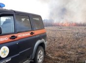 Пожарная ситуация: На Житомирщине вспыхнул новый пожар (Фото)