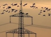 Как именно НКРЭКУ увеличила тарифы облэнерго в сфере электроэнергии (таблицы)