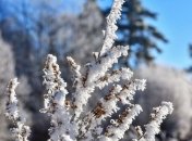 "Мягкий" прогноз погоды: в Украине будет тепло и туманно 