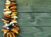 5 секретов приготовления сушеных грибов