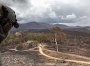 Лесные пожары в Австралии: Из воздуха сбросили тысячи килограммов овощей, чтобы накормить животных