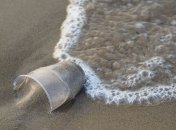 Мусор захватил Черное море: что известно