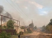 В Луганской области к тушению пожаров привлекут авиацию: решение Зеленского