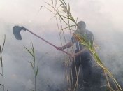 На Николаевщине локализовали масштабный пожар камыша и сухой травы