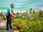 Шланг періодично влазить на грядки