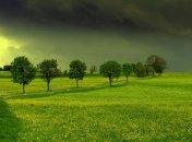 Прогноз погоды в Украине на 5 июля: на юге и востоке пройдут дожди