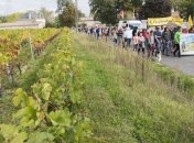 ЕС и дальше будет использовать потенциально вызывающий рак гербицид