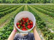 Українцям заборонили виїжджати з країни на заробітки