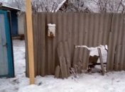 Прифронтовой Торецк подвергся обстрелу со стороны боевиков