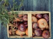 "Правила" зберігання овочів