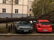 В Германии бушует ураган "Херварт" - уже трое погибших