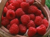 Малиновый аромат помогает бороться с лишним весом