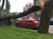 Негода в Естонії: близько 34 тисячі будинків залишилися без світла