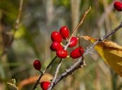 Какой праздник 30 ноября: народные приметы и запреты