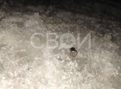 Гильза на месте происшествия