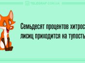 Вечерняя порция отменных шуток: анекдоты 1 марта