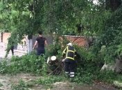 Ливни, шквалы и град: непогода накрыла Украину