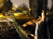 В Польше из-за циклона "Ксавер" нарушена работа аэропортов