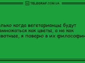 Подарите миру свою улыбку: анекдоты, которые скрасят ваш вечер