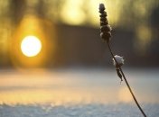 Погода в Украине 18 декабря: ожидается снег, местами без осадков 