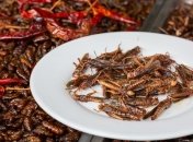 Саранча содержит полезные белки