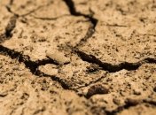 Засуха в Новой Зеландии приняла катастрофические масштабы