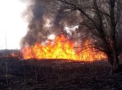 Ситуация с пожарами: на Херсонщине за сутки произошло 7 природных возгораний (Фото)