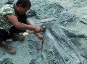 В Китае археологи обнаружили сенсационную находку