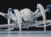 Ученые разработали робота-паука, способного трансформироваться в колесо (Видео)