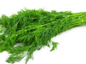 Фенхель для похудения