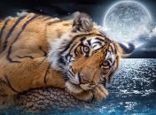 Стихія 2022 року — Вода, яка частково пом’якшує тигрину вдачу