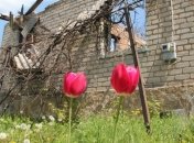 Штаб АТО: После праздников боевики снова активизировались