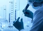 Гены существенно влияют на вес