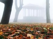 Погода на 10 ноября: дневная температура местами увеличится до +13