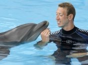 Дельфинотерапия – лечение дельфинами