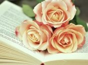 Нас не сломать: пять книг о сильных женщинах
