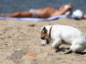 Европу с понедельника прогреют аномальные +40 градусов