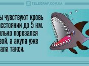 Поделись улыбкою своей: анекдоты на день 11 июля