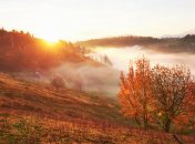 Яке сьогодні свято — День святих Єрмея та Нікандра