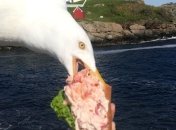 "Это фиаско, братан": снимки, наполненные болью разочарования