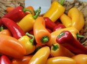 Быстрый рецепт консервированного перца