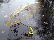 Около 9 тысяч домов в Эстонии остаются без света после шторма