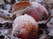 Какой завтра праздник: приметы и обряды на 28 января