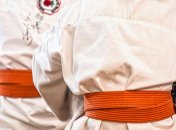 Карате/Иллюстративное фото