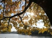 В Украине продолжается бабье лето