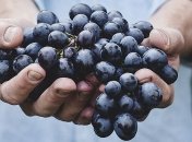 Запасаемся на зиму: как правильно хранить виноград 