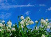 Прогноз погоды на март