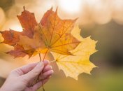 Праздник "Сергеев день" отмечается в 2023 году 7 октября (ранее 20 октября)